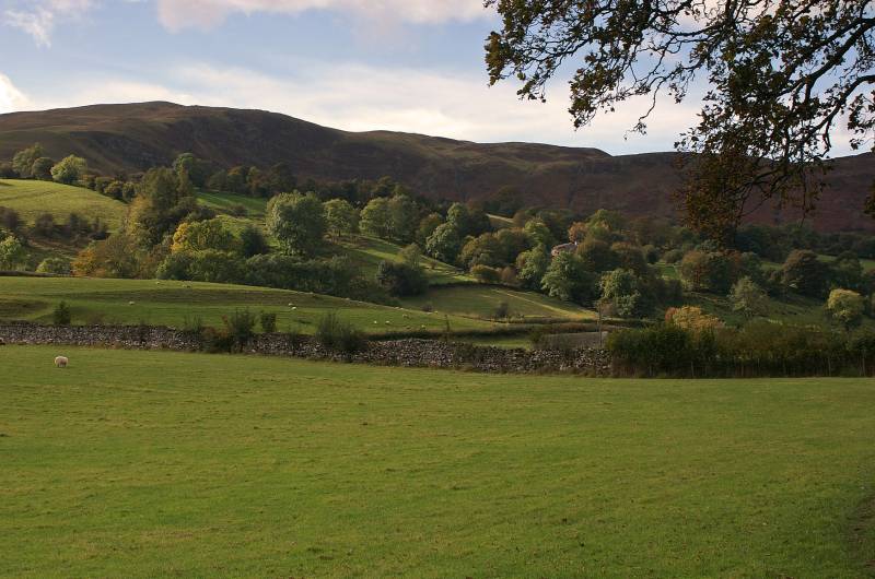 Under Combe Scar. 